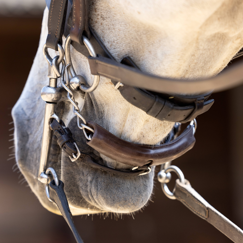 LeMieux Curb Chain Guard-1